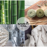 What else we here for? Bamboosoul Vision and Purpose?