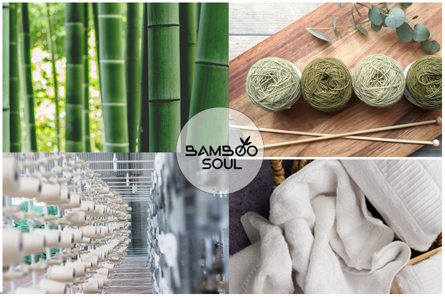 What else we here for? Bamboosoul Vision and Purpose?
