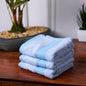 Bamboo Soul Bamboo Face Towel | Ultra Absorbent &amp; Super Soft | 30 x 30 cm - 550 GSM | Pack of 3 – Sky blue